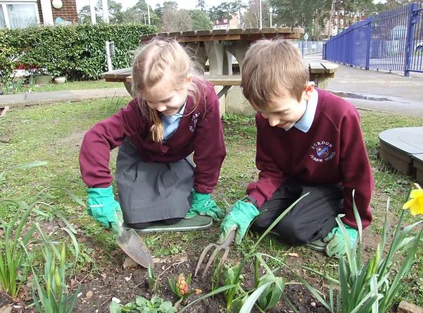 Bordon Junior 1.png